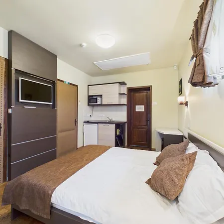 Πανσιόν Casa Pontica Două Mai