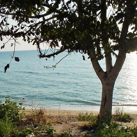 Casa Pontica 4* Două Mai