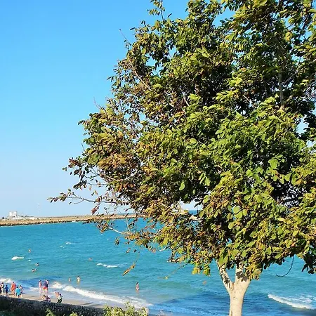 Πανσιόν Casa Pontica Două Mai