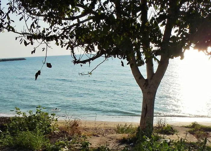 Casa Pontica 3* Două Mai